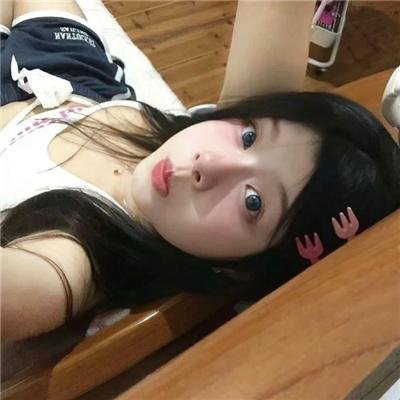 警犬嬷嬷历险记
